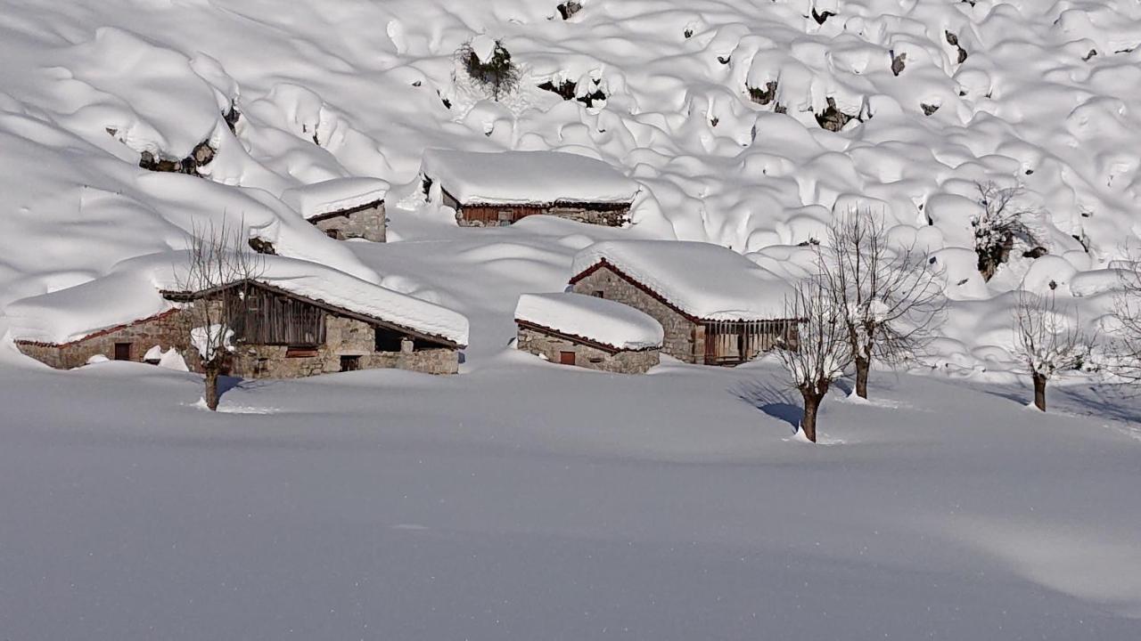 Casa Rural Las Fraguas Llanes, Gulpiyuri, Bufones المظهر الخارجي الصورة